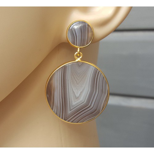 Goud vergulde oorbellen met Botswana Agaat