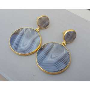 Gold plated earrings with Botswana Agate