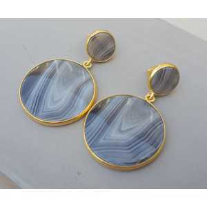 Gold plated earrings with Botswana Agate