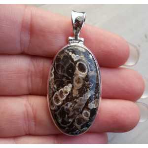 Silver pendant narrow oval Turitella Agate