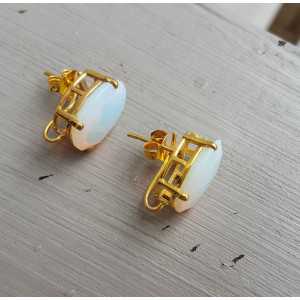 Gold plated oorknoppen set with Opaliet