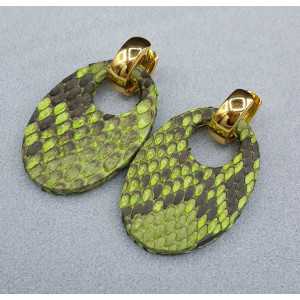 Creoles oval lich green Snakeskin pendant