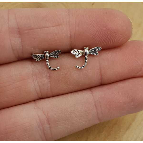 Silver oorknoppen with dragonflies