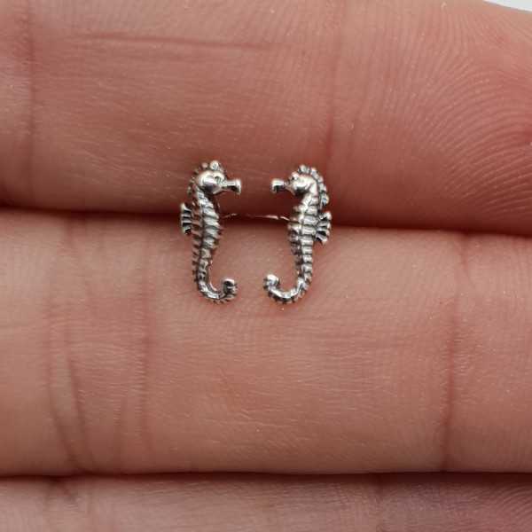 Silver small seahorse oorknopjes