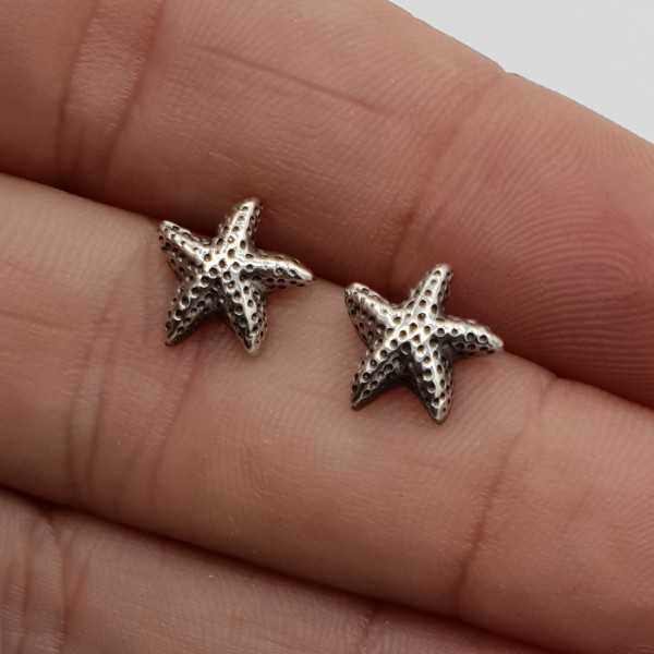 Silver starfish oorknopjes