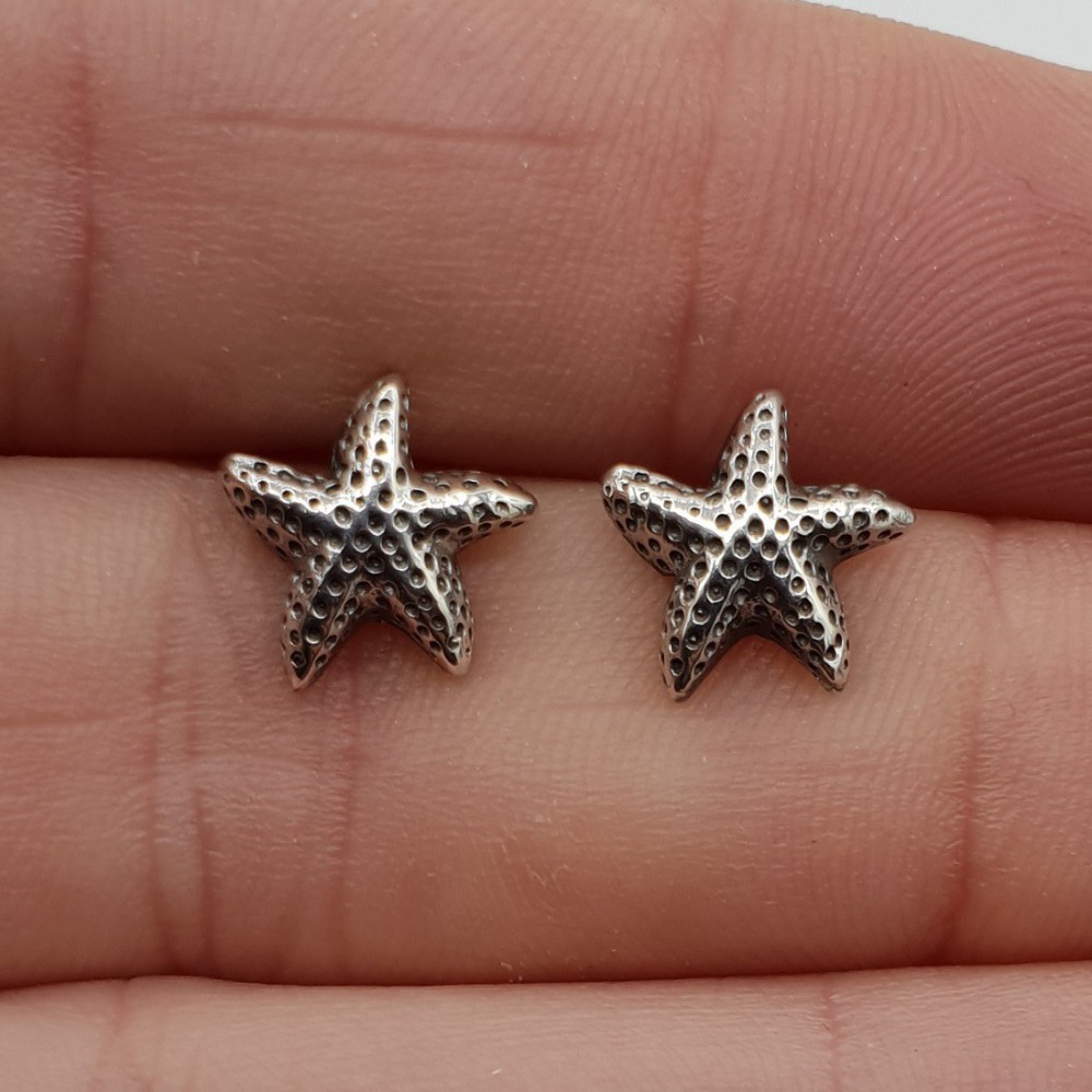 Silver starfish oorknopjes