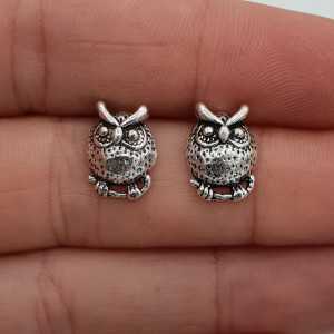 Silver owl oorknoppen