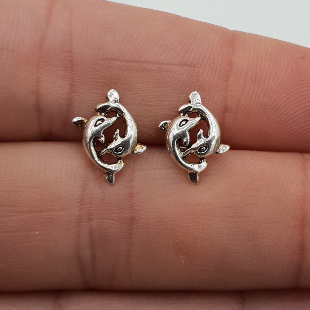 Silver oorknoppen two dolphins