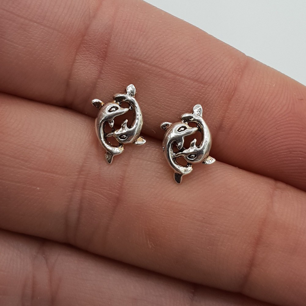 Zilveren oorknoppen twee dolfijnen