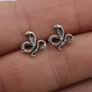 Zilveren oorknopjes slang