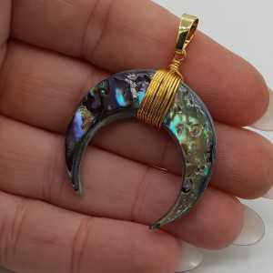 Vergoldete Mond / horn-Anhänger-Abalone Muschel