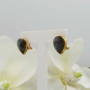 Gold plated oorknoppen set with Labradorite