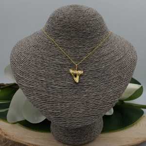 Gold plated necklace with haaientand
