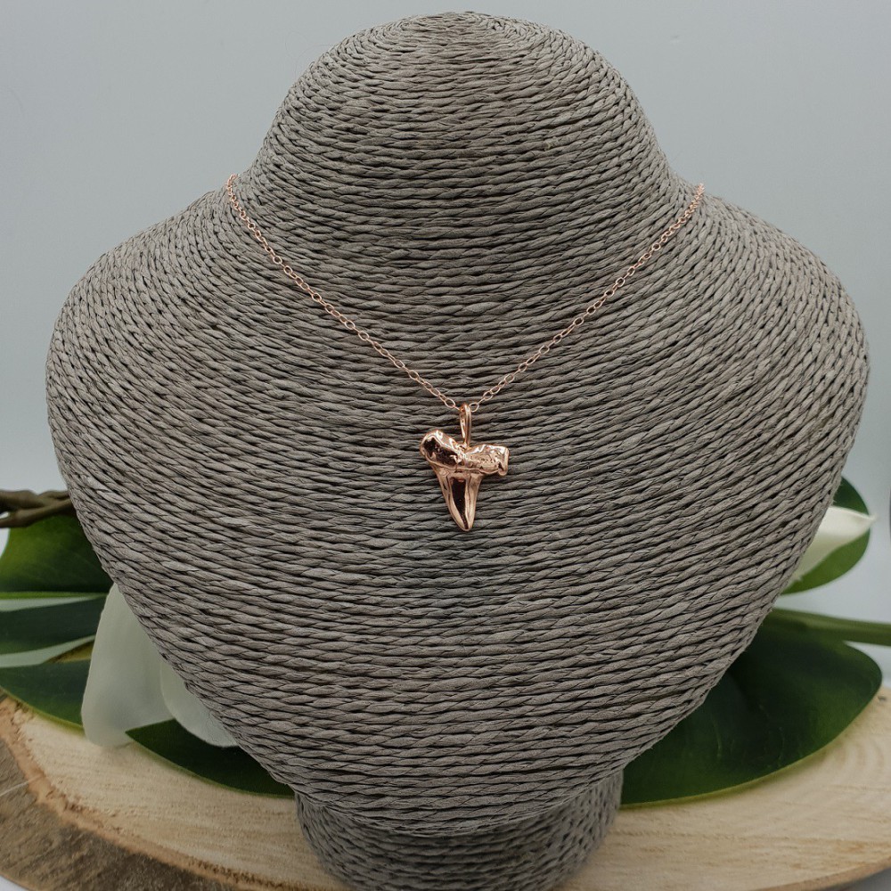 Rosé gold-plated necklace with haaientand pendant