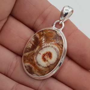 Silver pendant set with large oval Birds Eye (Bird's eye) Jasper