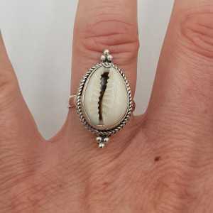 Zilveren ring met Cowrie schelp