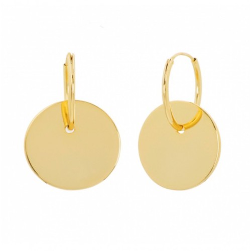 Vergulde creolen coin