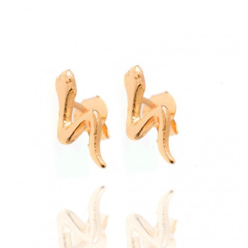 Vergulde oorknopjes slang