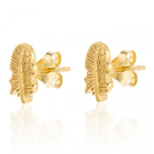 Vergulde oorknopjes veer