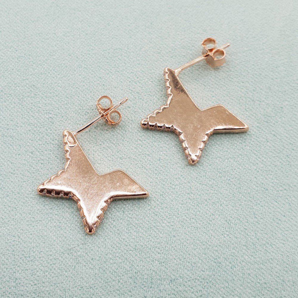 Rose gold plated star-Ohrringe mit Zirkon