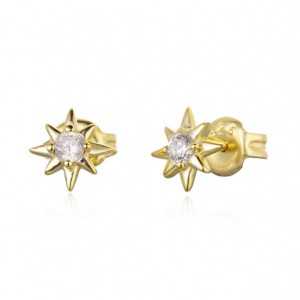 The gold-plated star oorknopjes with Cz