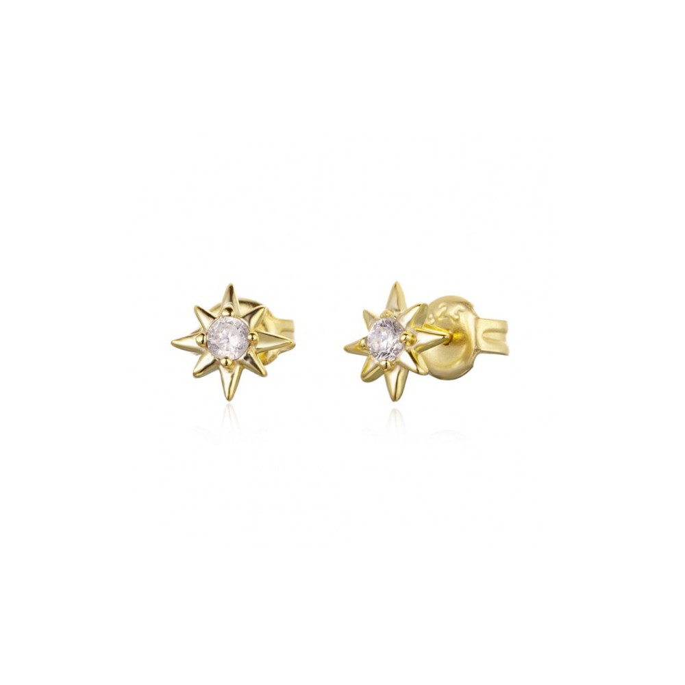 The gold-plated star oorknopjes with Cz