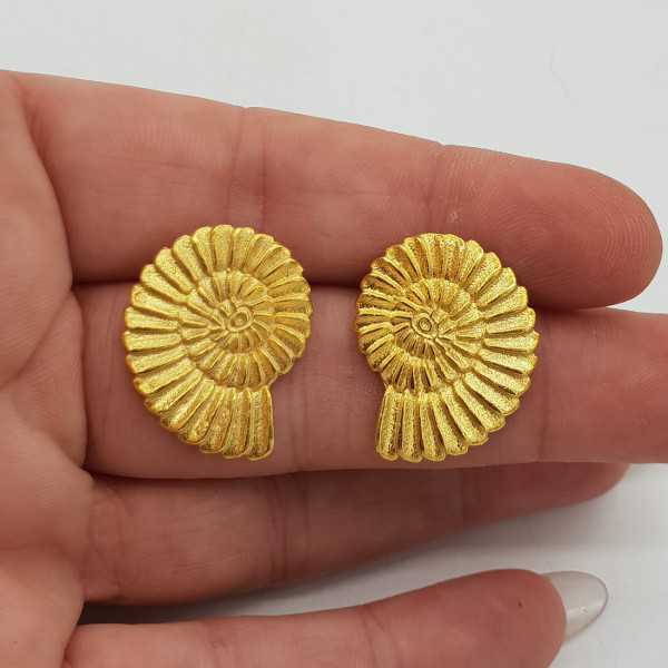 Gold-plated shell Ohrringe