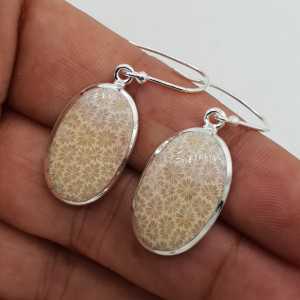 Silber Ohrringe-set mit ovalen Fossilen Korallen