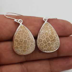 Ohrringe Silber mit Fossiler Koralle