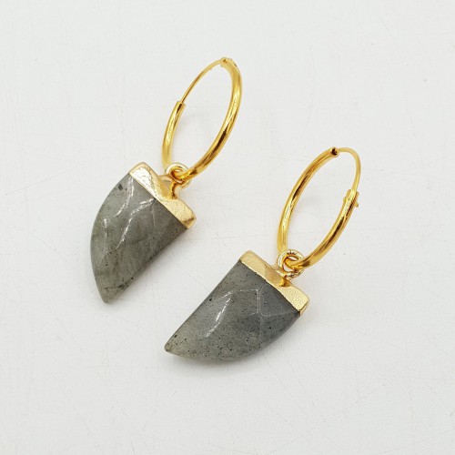 Vergulde creolen met hoorn hanger van Labradoriet