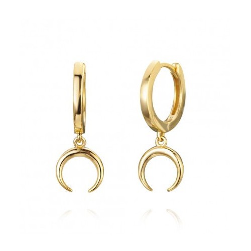 Vergulde creolen met hoorn hanger