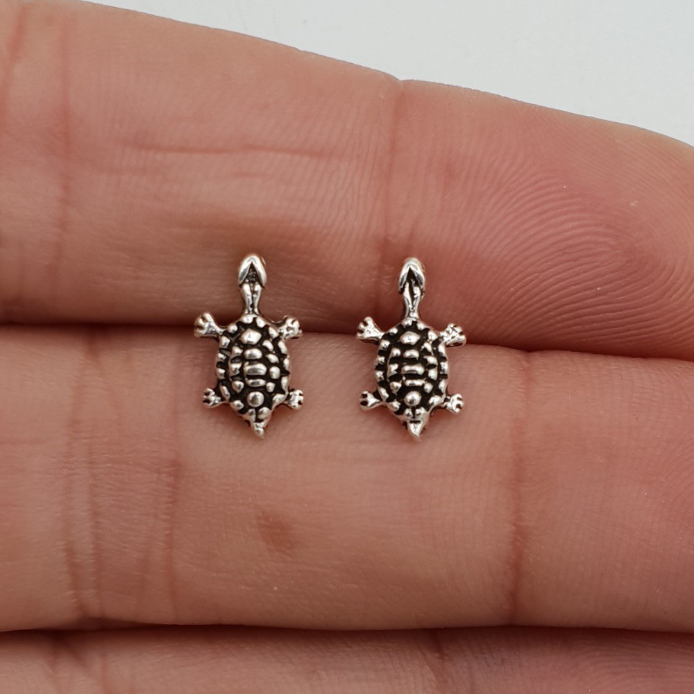 925 Sterling silver turtle oorknopjes