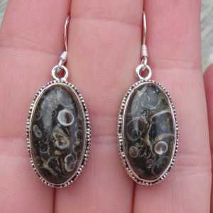 Silver earrings with Turitella Agate set in a carved setting 