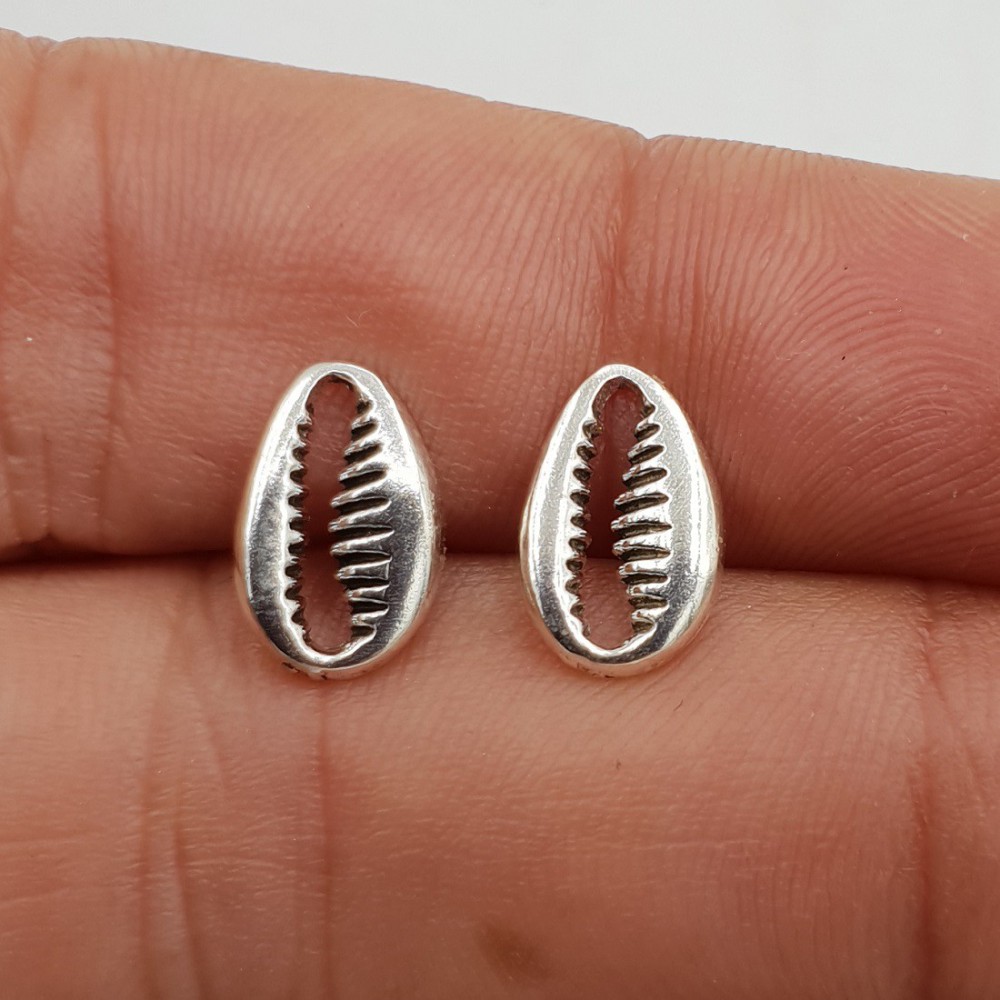 925 Sterling zilveren oorknoppen cowrie schelp