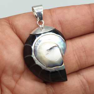 925 Sterling zilveren hanger met zwarte Nautilus schelp