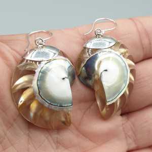 925 Sterling zilveren oorbellen Nautilus schelp