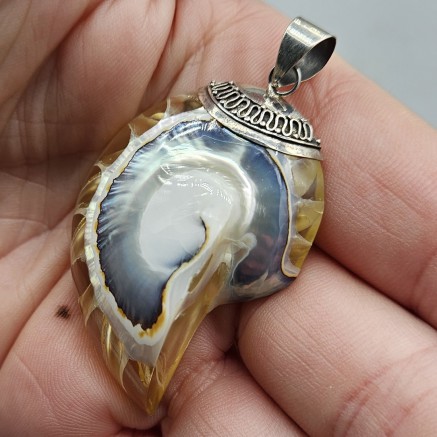 925 Sterling zilveren hanger met Nautilus schelp
