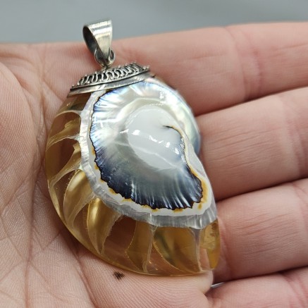 925 Sterling zilveren hanger met Nautilus schelp