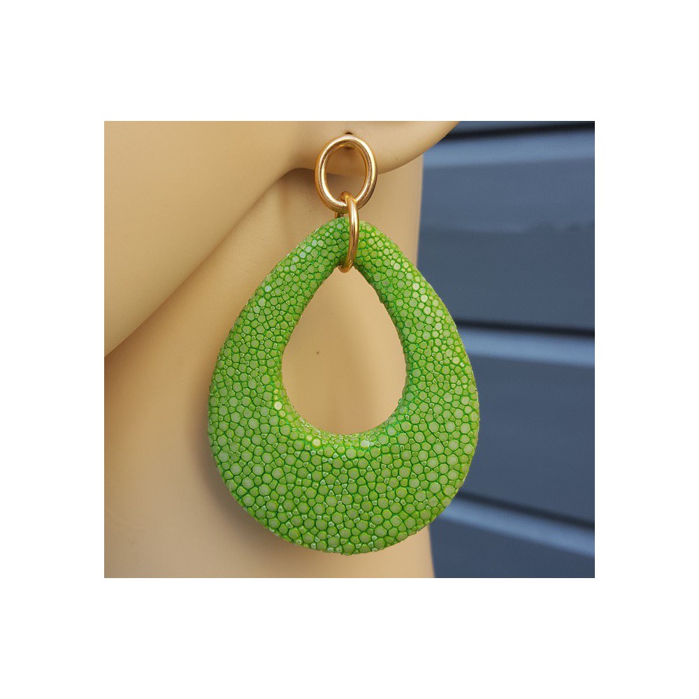 Oorbellen met druppel van appeltjes groene Roggenleer