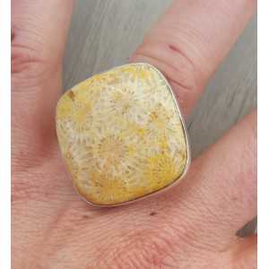 Silber ring set mit quadratischen Fossilen Korallen 17.3 mm